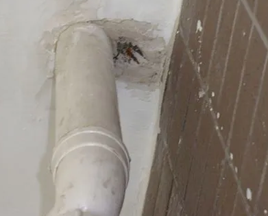 忻州漏水检测哪家好